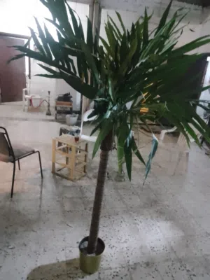 شجرة بلاستيك طويلة ممتازة