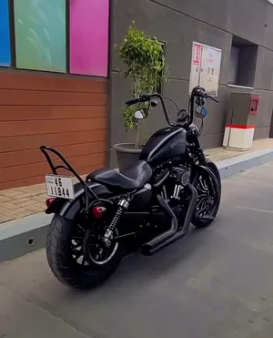 Harley Davidson ‏Iron 883 ‏2013 ‏750 - 999 cc