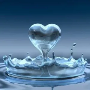 احمد الحربي 