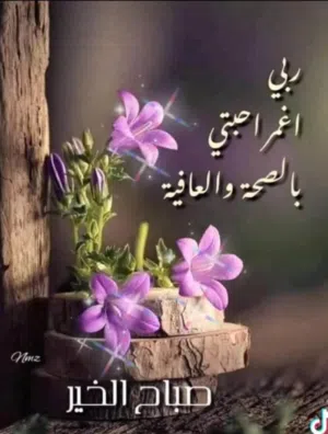 لمن يبحث عن التميز ف التعليم