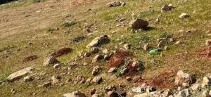 Residential Land for Sale in Benghazi Bu Hadi