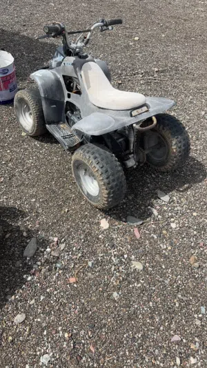 دارجة تايواني80سس