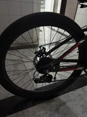 Sport foldable bike
