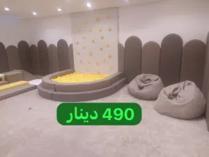 بركة طابات القاعه القوسية مع حيط تسلق وجداريات حماية