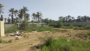 Mixed Use Land for Rent in Al Batinah Sohar