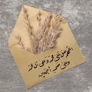 سيف  السرحان 