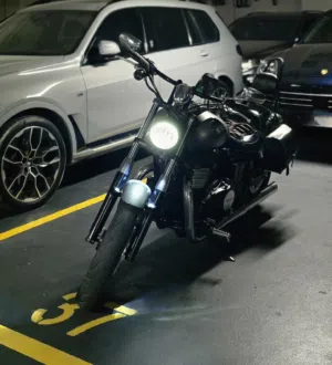 triumph speedmaster A3 2014 gray