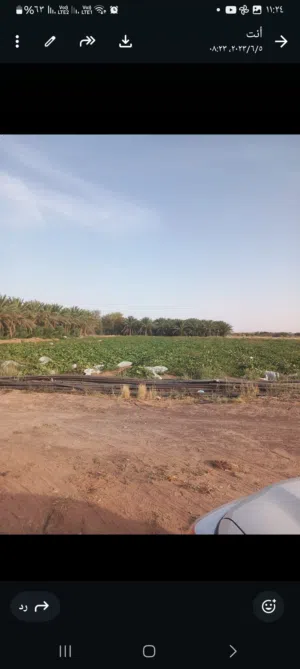 مزرعه واسعه ملك للبيع