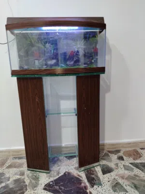 حوض سمك بحالة جيدة  محافظة المفرق بجانب بنك الاردن