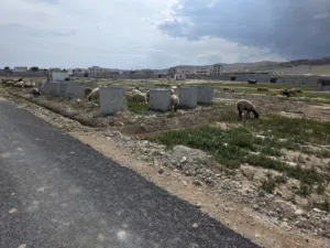 Residential Land for Sale in Jericho Al-Auja