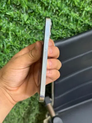 13 برو وبي يبارك