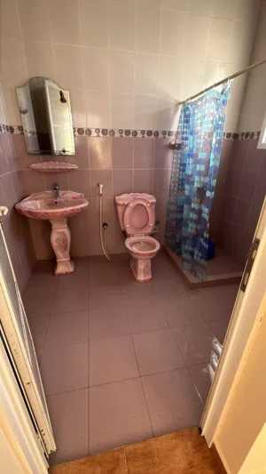 Looking for an asian roommate in al hail north