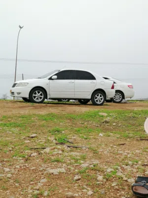 Used Toyota Corolla in Al Batinah