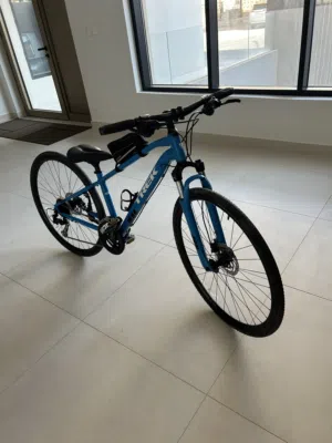 Trek Dual Sport 3 model 2019