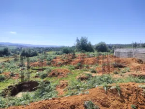 Residential Land for Sale in Skikda Other