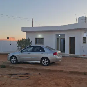 حمدي ابودبوس 