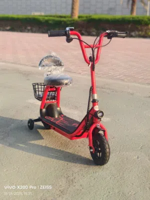 electric scooter