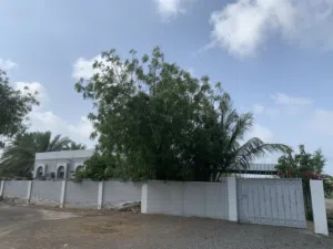 3 Bedrooms . Furnished . Monthly0