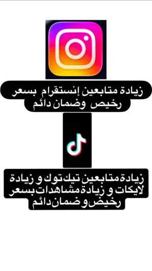 زيادة متابعين تيك توك وانستا