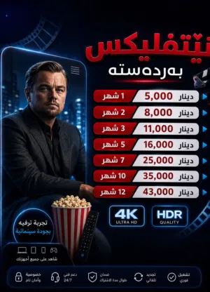 Netflix Accounts and Characters for Sale in Dohuk