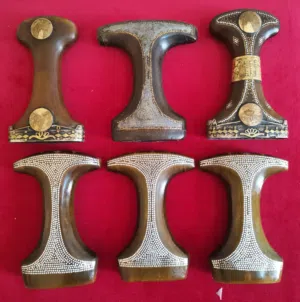 قرن الزراف الهندي