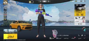 Pubg Accounts and Characters for Sale in Basra