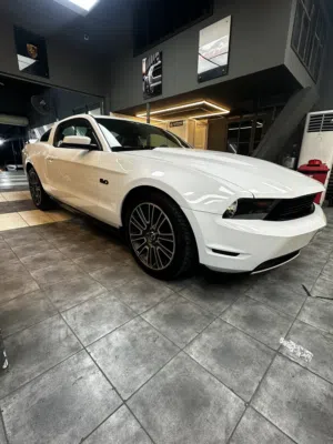 Ford mustang 4.6 2010