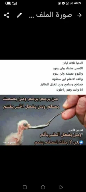 هارون هارون