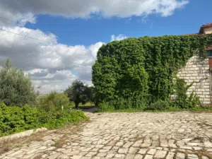 Residential Land for Sale in Amman Dabouq