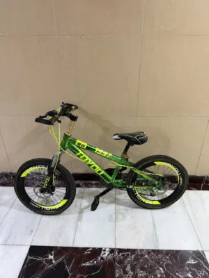bicycle for teenagers