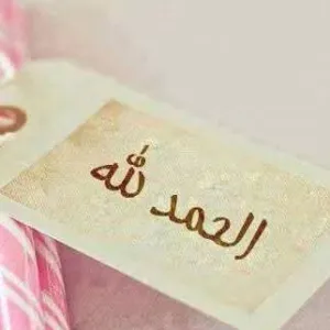 حسام الدين محمد محمود شيخ احمد 