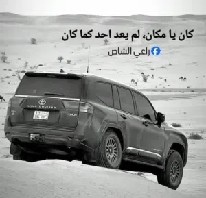 وائل محمد 