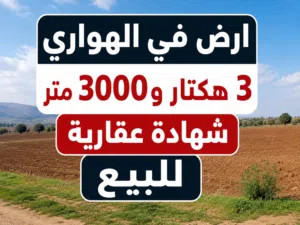 اراضي للبيع الهواري-بوصنيب-سي فرج-الطلحية