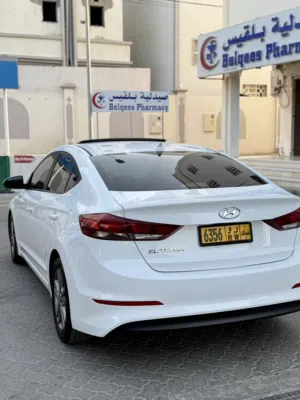 Used Hyundai Elantra in Muscat