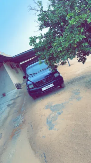 متشي بيشي 2004
