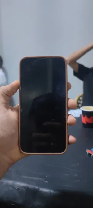 13 برو ماكس