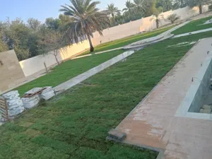 معشب طبيعي أمريكى بجميع انواعه بلس بيلم وبرمودا وجميع انواع الاشجار والنباتات الزينه