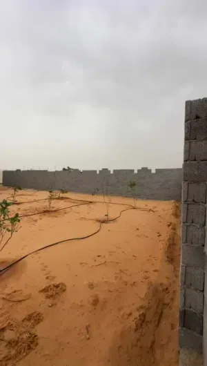 قطعة ارض بيها مسقوف 1260 ممتازة