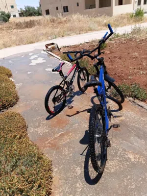 بسكليت عدد 2 اصلي