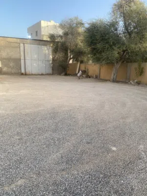 هنقر زينقو للايجار