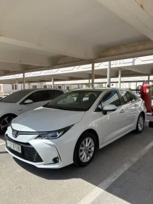 Toyota  Corolla 2023