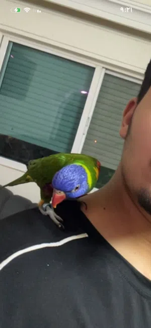 لوري للبيع