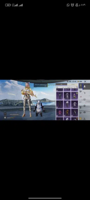 Pubg Accounts and Characters for Sale in Amman