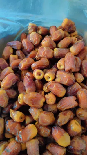 تمور الواحات البحريه عاليه الجوده