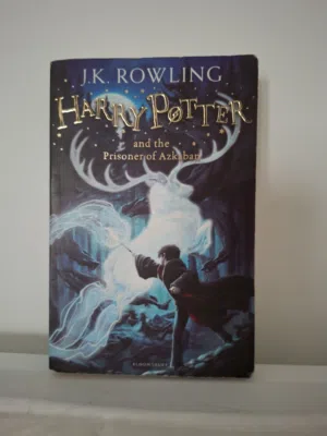 Harry Potter Book