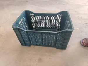 قفاص حقل للبيع