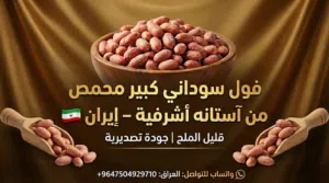 فول سوداني إيراني جامبو من آستانه أشرفية محمص درجتين – بيع بالجملة