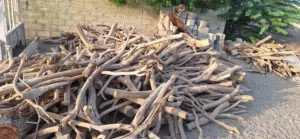 حطب كميه كبيره