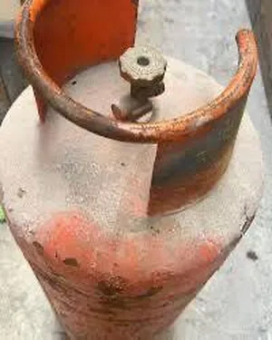‏المنزل والحديقة أخرى‏1
