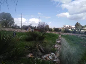 Farm Land for Sale in Salt Al Subeihi